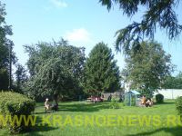 Rodnichek (3)